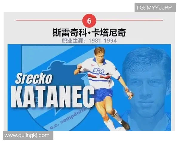 曾经足球球星的辉煌岁月与传奇排名解析：谁是最伟大的足球巨星