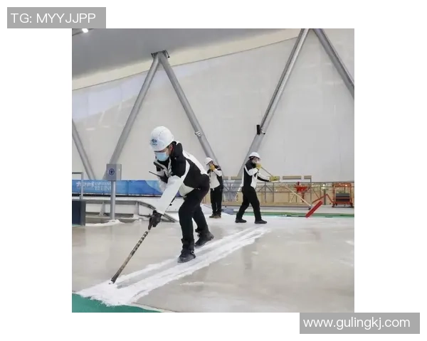 足球球星盘解析全面揭示球员成长轨迹与场上技术风格特点